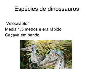 Espécies de dinossauros  Velociraptor Media 1,5 metros e era rápido. Caçava em bando. 