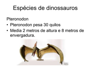Espécies de dinossauros  Pteronodon Pteronodon pesa 30 quilos Media 2 metros de altura e 8 metros de envergadura. 