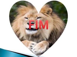 Os direitos dos animais