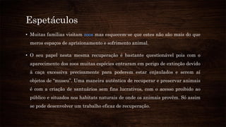 Espetáculos
• Muitas famílias visitam zoos mas esquecem-se que estes não são mais do que
meros espaços de aprisionamento e sofrimento animal.
• O seu papel nesta mesma recuperação é bastante questionável pois com o
aparecimento dos zoos muitas espécies entraram em perigo de extinção devido
à caça excessiva precisamente para poderem estar enjaulados e serem aí
objetos de “museu”. Uma maneira autêntica de recuperar e preservar animais
é com a criação de santuários sem fins lucrativos, com o acesso proibido ao
público e situados nos habitats naturais de onde os animais provêm. Só assim
se pode desenvolver um trabalho eficaz de recuperação.
 