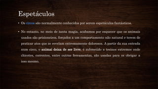 Espetáculos
• Os circos são normalmente conhecidos por serem espetáculos fantásticos.
• No entanto, no meio de tanta magia, acabamos por esquecer que os animais
usados são prisioneiros, forçados a um comportamento não natural e terem de
praticar atos que se revelam extremamente dolorosos. A partir da sua entrada
num circo, o animai deixa de ser livre, é submetido a treinos extremos onde
chicotes, correntes, entre outras ferramentas, são usadas para os obrigar a
isso mesmo.
 