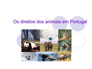 Os direitos dos animais em Portugal 