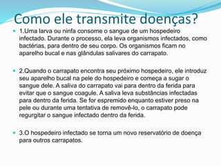 Como ele transmite doenças?
 1.Uma larva ou ninfa consome o sangue de um hospedeiro
infectado. Durante o processo, ela leva organismos infectados, como
bactérias, para dentro de seu corpo. Os organismos ficam no
aparelho bucal e nas glândulas salivares do carrapato.
 2.Quando o carrapato encontra seu próximo hospedeiro, ele introduz
seu aparelho bucal na pele do hospedeiro e começa a sugar o
sangue dele. A saliva do carrapato vai para dentro da ferida para
evitar que o sangue coagule. A saliva leva substâncias infectadas
para dentro da ferida. Se for espremido enquanto estiver preso na
pele ou durante uma tentativa de removê-lo, o carrapato pode
regurgitar o sangue infectado dentro da ferida.
 3.O hospedeiro infectado se torna um novo reservatório de doença
para outros carrapatos.
 