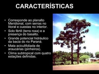 CARACTERÍSTICAS Corresponde ao planalto Meridional, com serras no litoral e cuestas no interior. Solo fértil (terra roxa) e a presença do basalto. Grande potencial hidráulico da bacia do rio Paraná. Mata aciculifoliada de araucárias (pinheiros). Clima subtropical com quatro estações definidas. 