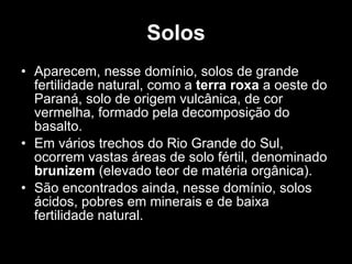 Solos Aparecem, nesse domínio, solos de grande fertilidade natural, como a  terra roxa  a oeste do Paraná, solo de origem vulcânica, de cor vermelha, formado pela decomposição do basalto. Em vários trechos do Rio Grande do Sul, ocorrem vastas áreas de solo fértil, denominado  brunizem  (elevado teor de matéria orgânica). São encontrados ainda, nesse domínio, solos ácidos, pobres em minerais e de baixa fertilidade natural.  