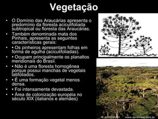 Vegetação O Domínio das Araucárias apresenta o predomínio da floresta aciculifoliada subtropical ou floresta das Araucárias.  Também denominada mata dos Pinhais, apresenta as seguintes características gerais: •  Os pinheiros apresentam folhas em forma de agulha (aciculifoliadas). •  Ocupam principalmente os planaltos meridionais do Brasil. •  Não é uma floresta homogênea porque possui manchas de vegetais latifoliados. •  É uma formação vegetal menos densa. •  Foi intensamente devastada. •  Área de colonização européia no século XIX (italianos e alemães)  