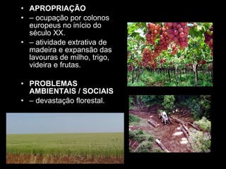 APROPRIAÇÃO –  ocupação por colonos europeus no início do século XX. –  atividade extrativa de madeira e expansão das lavouras de milho, trigo, videira e frutas. PROBLEMAS AMBIENTAIS / SOCIAIS –  devastação florestal. 