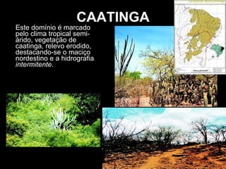 CAATINGA Este domínio é marcado pelo clima tropical semi-árido, vegetação de caatinga, relevo erodido, destacando-se o maciço nordestino e a hidrografia  intermitente .  