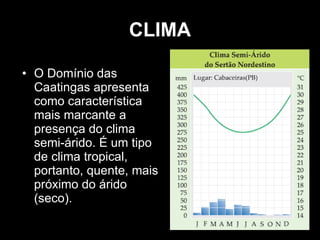 CLIMA O Domínio das Caatingas apresenta como característica mais marcante a presença do clima semi-árido. É um tipo de clima tropical, portanto, quente, mais próximo do árido (seco). 