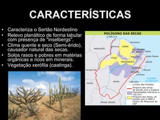 CARACTERÍSTICAS Caracteriza o Sertão Nordestino Relevo planáltico de forma tabular com presença de "inselbergs". Clima quente e seco (Semi-árido), causador natural das secas. Solos rasos e pobres em matérias orgânicas e ricos em minerais. Vegetação xerófila (caatinga). 
