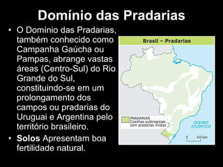 Domínio das Pradarias O Domínio das Pradarias, também conhecido como Campanha Gaúcha ou Pampas, abrange vastas áreas (Centro-Sul) do Rio Grande do Sul, constituindo-se em um prolongamento dos campos ou pradarias do Uruguai e Argentina pelo território brasileiro. Solos  Apresentam boa fertilidade natural.  