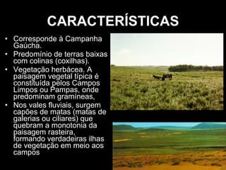 CARACTERÍSTICAS Corresponde à Campanha Gaúcha. Predomínio de terras baixas com colinas (coxilhas). Vegetação herbácea. A paisagem vegetal típica é constituída pelos Campos Limpos ou Pampas, onde predominam gramíneas,  Nos vales fluviais, surgem capões de matas (matas de galerias ou ciliares) que quebram a monotonia da paisagem rasteira, formando verdadeiras ilhas de vegetação em meio aos campos  