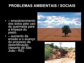 PROBLEMAS AMBIENTAIS / SOCIAIS –  empobrecimento dos solos pelo uso de queimada para a limpeza do pasto. –  aumento da erosão e o avanço do processo de desertificação (deserto de São João - RS). 