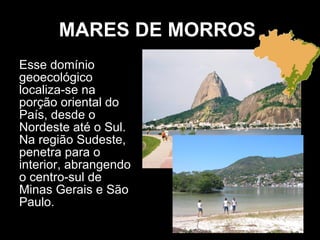 Esse domínio geoecológico localiza-se na porção oriental do País, desde o Nordeste até o Sul. Na região Sudeste, penetra para o interior, abrangendo o centro-sul de Minas Gerais e São Paulo. MARES DE MORROS   