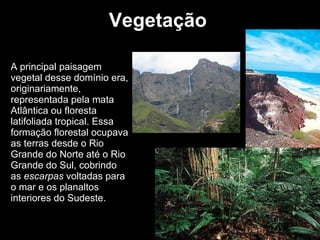 Vegetação A principal paisagem vegetal desse domínio era, originariamente, representada pela mata Atlântica ou floresta latifoliada tropical. Essa formação florestal ocupava as terras desde o Rio Grande do Norte até o Rio Grande do Sul, cobrindo as  escarpas  voltadas para o mar e os planaltos interiores do Sudeste.  