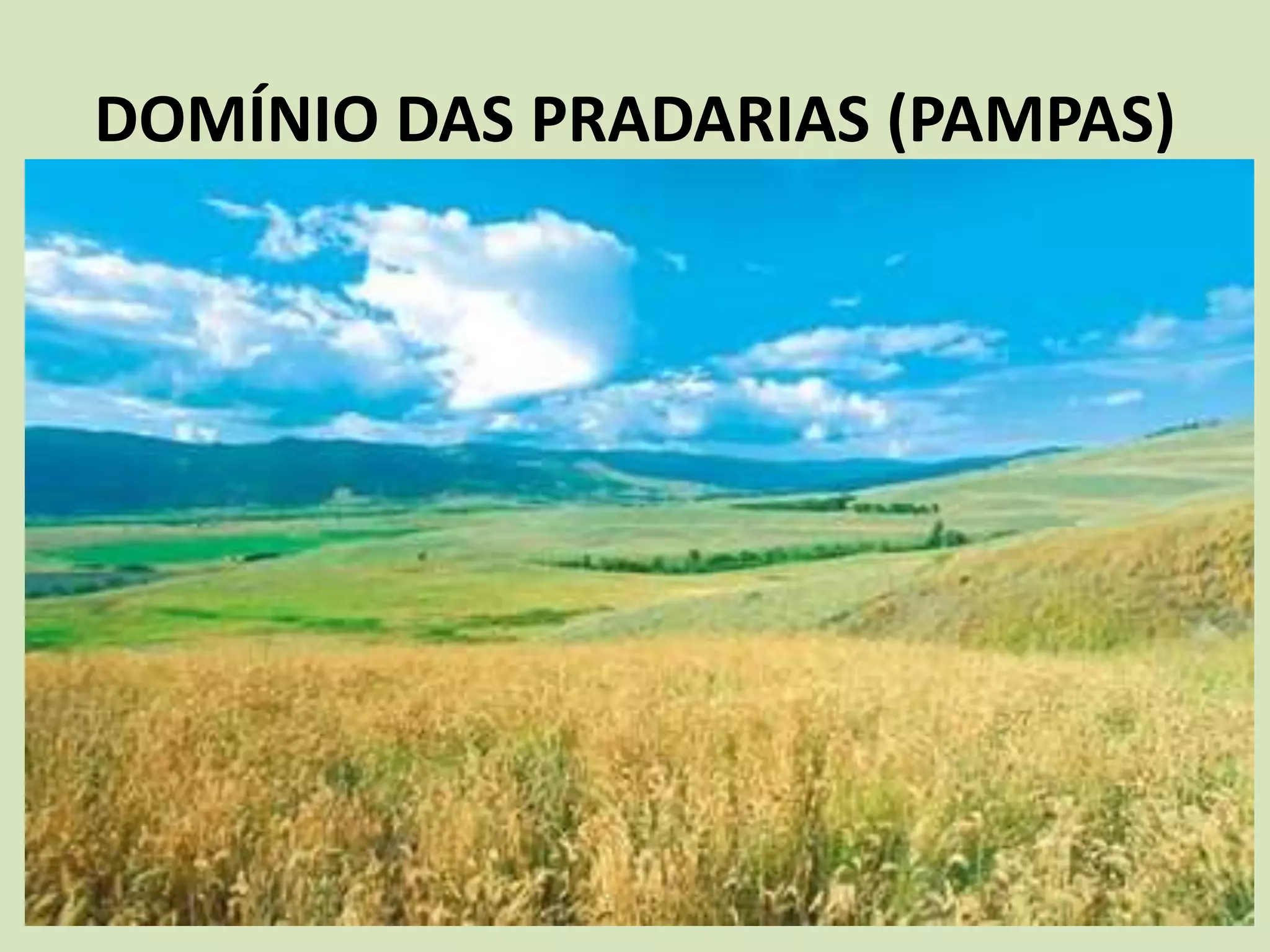 DOMÍNIO DAS PRADARIAS (PAMPAS)