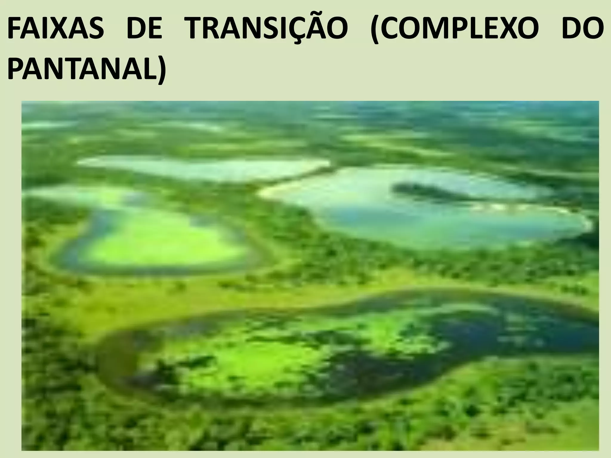 FAIXAS DE TRANSIÇÃO (COMPLEXO DO
PANTANAL)