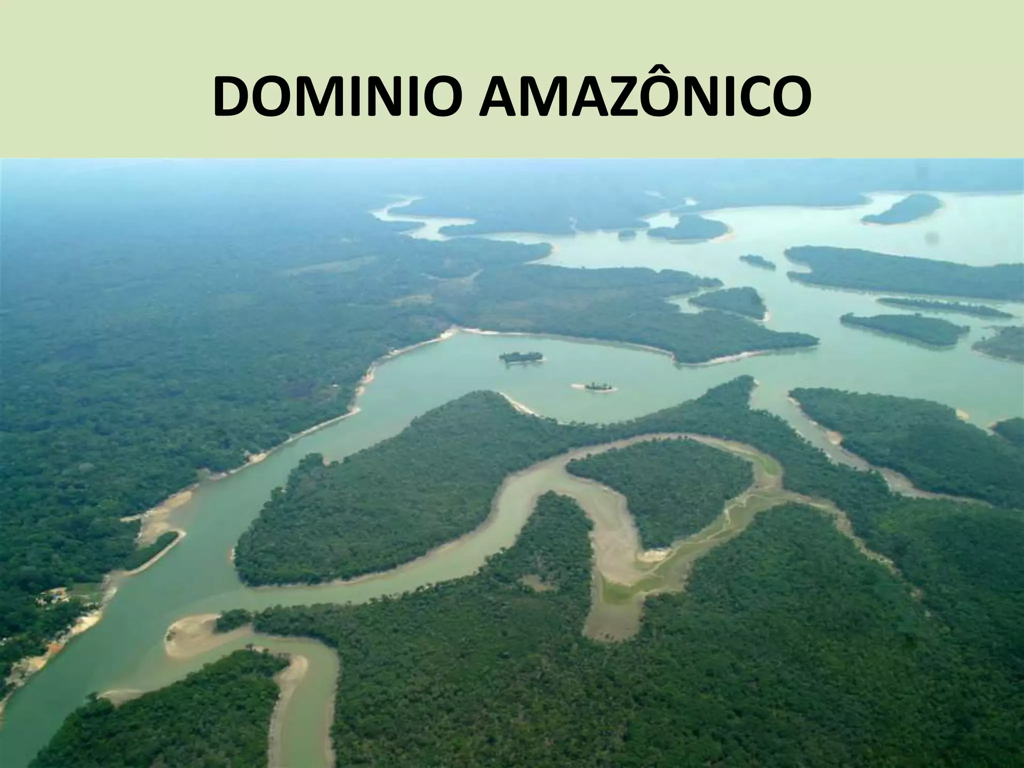 DOMINIO AMAZÔNICO