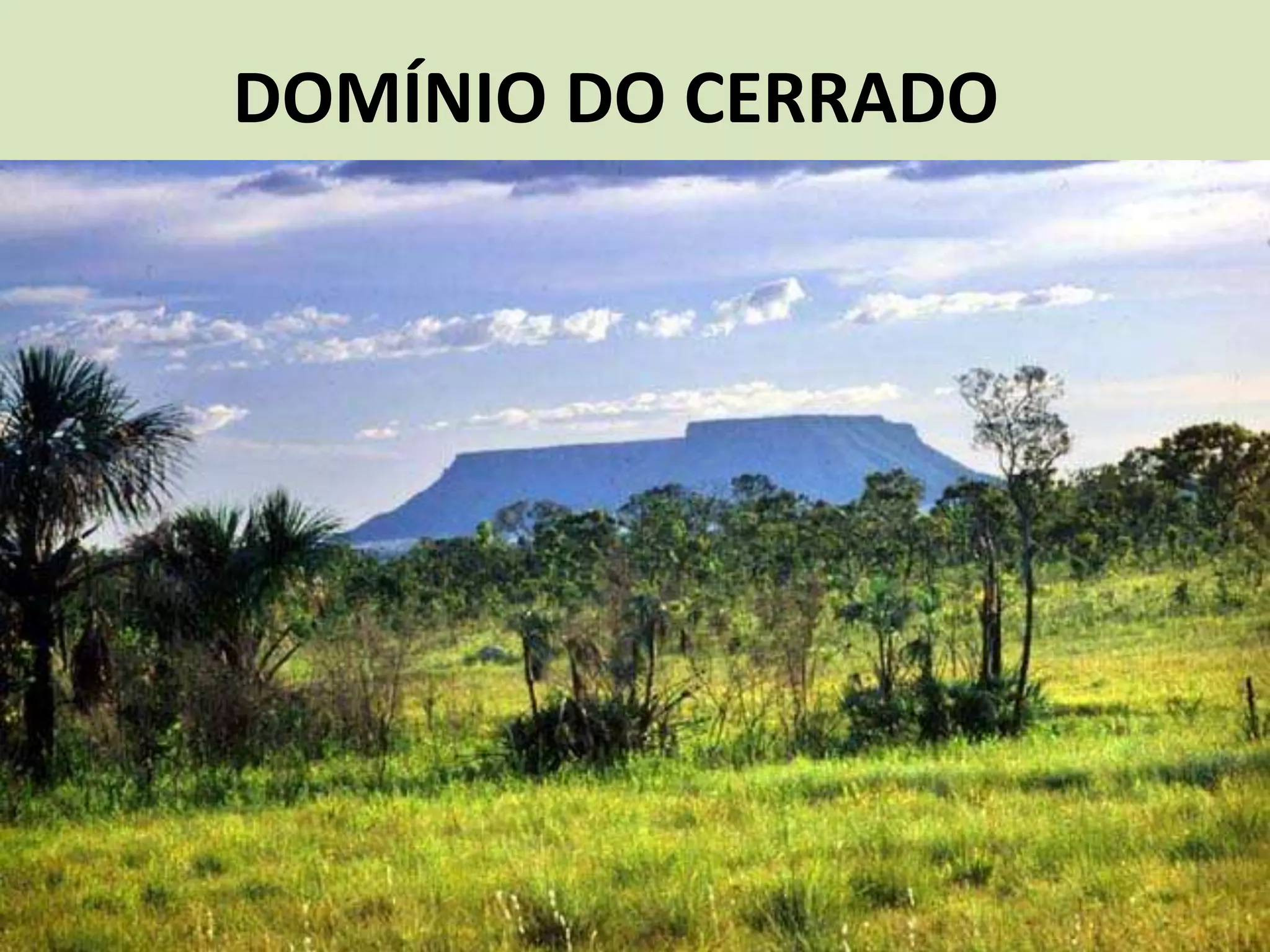 DOMÍNIO DO CERRADO