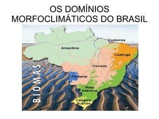 OS DOMÍNIOS MORFOCLIMÁTICOS DO BRASIL 