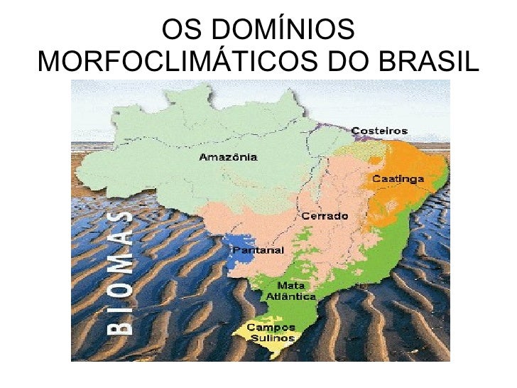 Os DomíNios MorfoclimáTicos Do Brasil Os DomíNios MorfoclimáTicos Do Brasil