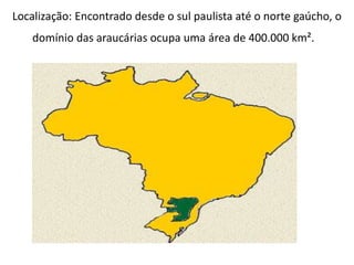 Localização: Encontrado desde o sul paulista até o norte gaúcho, o
domínio das araucárias ocupa uma área de 400.000 km².
 
