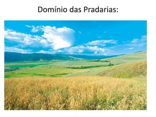 Domínio das Pradarias:
 