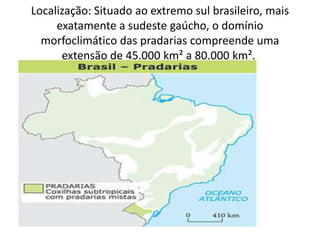 Localização: Situado ao extremo sul brasileiro, mais
exatamente a sudeste gaúcho, o domínio
morfoclimático das pradarias compreende uma
extensão de 45.000 km² a 80.000 km².
 