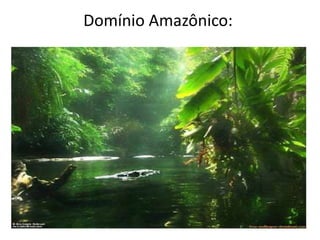 Domínio Amazônico:
 