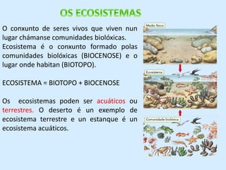 O conxunto de seres vivos que viven nun 
lugar chámanse comunidades biolóxicas. 
Ecosistema é o conxunto formado polas 
comunidades biolóxicas (BIOCENOSE) e o 
lugar onde habitan (BIOTOPO). 
ECOSISTEMA = BIOTOPO + BIOCENOSE 
Os ecosistemas poden ser acuáticos ou 
terrestres. O deserto é un exemplo de 
ecosistema terrestre e un estanque é un 
ecosistema acuáticos. 
 