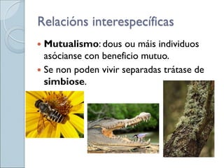  Mutualismo: dous ou máis individuos
asócianse con beneficio mutuo.
 Se non poden vivir separadas trátase de
simbiose.
Relacións interespecíficas
 