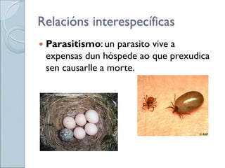  Parasitismo: un parasito vive a
expensas dun hóspede ao que prexudica
sen causarlle a morte.
Relacións interespecíficas
 