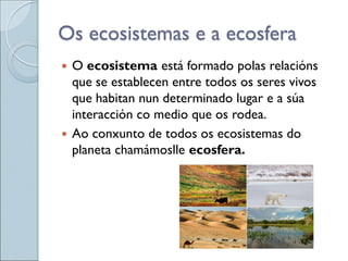 Os ecosistemas e a ecosfera
 O ecosistema está formado polas relacións
que se establecen entre todos os seres vivos
que habitan nun determinado lugar e a súa
interacción co medio que os rodea.
 Ao conxunto de todos os ecosistemas do
planeta chamámoslle ecosfera.
 