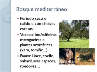 Bosque mediterráneo
 Período seco e
cálido e con choivas
escasas.
 Vexetación:Aciñeiras,
matogueiras e
plantas aromáticas
(xara, tomiño...)
 Fauna: Lince, coello,
xabaril, aves rapaces,
roedores…
 