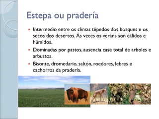 Estepa ou pradería
 Intermedio entre os climas tépedos dos bosques e os
secos dos desertos. Ás veces os veráns son cálidos e
húmidos.
 Dominadas por pastos, ausencia case total de arboles e
arbustos.
 Bisonte, dromedario, saltón, roedores, lebres e
cachorros da pradería.
 