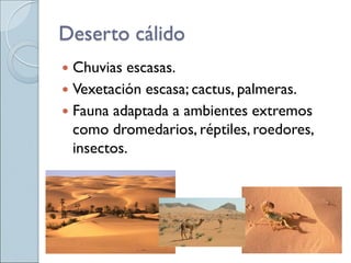 Deserto cálido
 Chuvias escasas.
 Vexetación escasa; cactus, palmeras.
 Fauna adaptada a ambientes extremos
como dromedarios, réptiles, roedores,
insectos.
 