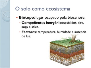 O solo como ecosistema
 Biótopo: lugar ocupado pola biocenose.
◦ Compoñentes inorgánicos: sólidos, aire,
auga e sales.
◦ Factores: temperatura, humidade e ausencia
de luz.
 
