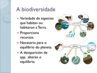 A biodiversidade
 Variedade de especies
que habitan ou
habitaron a Terra.
 Proporciona
recursos.
 Necesario para o
equilibrio do planeta.
 A desaparición de
spp. alteran o
equilibrio.
 