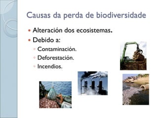 Causas da perda de biodiversidade
 Alteración dos ecosistemas.
 Debido a:
◦ Contaminación.
◦ Deforestación.
◦ Incendios.
 