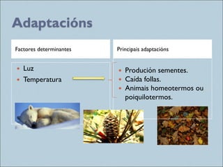 Adaptacións
Factores determinantes Principais adaptacións
 Luz
 Temperatura
 Produción sementes.
 Caída follas.
 Animais homeotermos ou
poiquilotermos.
 