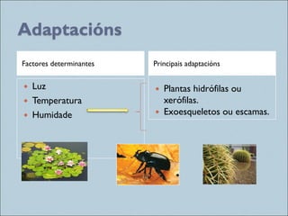Adaptacións
Factores determinantes Principais adaptacións
 Luz
 Temperatura
 Humidade
 Plantas hidrófilas ou
xerófilas.
 Exoesqueletos ou escamas.
 