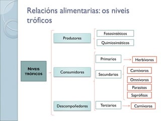 Relacións alimentarias: os niveis
tróficos
NIVEIS
TRÓFICOS
Produtores
Consumidores
Descompoñedores
Fotosintéticos
Quimiosintéticos
Primarios
Secundarios
Terciarios
Herbívoros
Carnívoros
Omnívoros
Parasitos
Saprófitos
Carnívoros
 