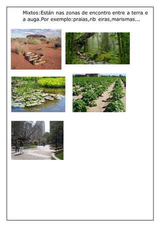 Mixtos:Están nas zonas de encontro entre a terra e
a auga.Por exemplo:praias,rib eiras,marismas...
 