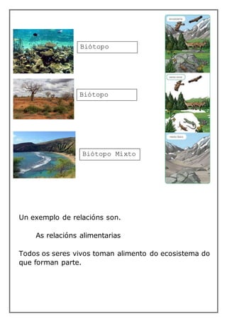 Un exemplo de relacións son.
As relacións alimentarias
Todos os seres vivos toman alimento do ecosistema do
que forman parte.
Biótopo
Acuático
Biótopo Mixto
Biótopo
Terrestre
 
