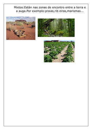 Mixtos:Están nas zonas de encontro entre a terra e
a auga.Por exemplo:praias,rib eiras,marismas...
 