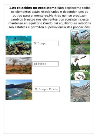 3.As relacións no ecosistema:Nun ecosistema todos
os elementos están relacionados e dependen uns de
outros para alimentarse.Mentras non se produzan
cambios bruscos nos elementos dos ecosistema,este
mantense en equilibrio.Cando hai equilibrio as relacións
son estables e permiten superviviencia das poboacións.
Biótopo
Acuático
Biótopo Mixto
Biótopo
Terrestre
 