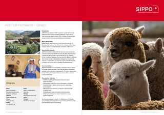 ASETUR Rumillacta – Sibayo.
                                                                Introduction
                                                                ASETUR was created in 2006 to develop an alternative to the
                                                                traditional Colca Canyon tourism experience. It gave rise to
                                                                rural community based tourism (TRC) in Sibayo, an experiential
                                                                tourism product involving local families and homestays.


                                                                Site & Surrounding
                                                                Sibayo can be reached by car in two hours from the city of
                                                                Arequipa, and one hour from Chivay, the entry gate to the Colca
                                                                Canyon. Sibayo is located between 3,810 and 4,500 m. a. s. l.


                                                                Sustainability Aspects
                                                                ASETUR has been created with the common vision to develop
                                                                a tourism activity that benefits the local families, enhancing their
                                                                cultural and natural assets, and contributing to the valuation
                                                                of their traditional lifestyles while improving the families’ wellbeing.
                                                                The tourism activity is planned and managed as a community
                                                                venture, in coordination and with the support of the Municipality
                                                                of Sibayo, and on-line with its Strategic Development Plan.


                                                                Accommodation
                                                                ASETUR members are local families, especially women, trained
                                                                to provide lodging and food. They have become an interesting
                                                                example of local women’s empowerment. To date in Sibayo there
                                                                are 32 families offering homestays for visitors (2 to 4 persons
                                                                in each household).


                                                                Excursions & Activities
                                                                •  Trekking to nearby archaeological sites and nature-
                                                                  based attractions
 Arequipa.                                                      •  Visiting Sibayo’s fish farm (one of the largest in Arequipa)
                                                                •  Assisting locals in alpaca wool production (depending
                                                                  on the season)
 Name                               Email                       •  Taking part in the ceremony of Tinkachi, paying homage
 Asetur Rumillacta –                asetur_rumillacta@hot         to Mother Earth
 Asociación de Servicios            mail.com                    •  Interacting with locals and tasting traditional foods
 Turísticos de Sibayo               Website                     •  Other mystical rituals for visitors interested in a more
 Address                            http://blogs.trcperu.org/     spiritual experience
 Plaza de Armas s/n,                sibayo/
 Sibayo,                            Contact                     An innovative program consists of trekking tours with llamas
 Arequipa, Peru                     Mr. Filemón Samayani        (up to 8 days) passing by archaeological sites, community lands
 Phone                                                          and marvelous natural surroundings.
 +51 958 022 190




72 I Sustainable Tourism in Peru.                                                                                                          Sustainable Tourism in Peru. I 73
 