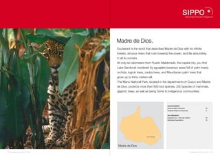 Madre de Dios.
                                    Exuberant is the word that describes Madre de Dios with its infinite
                                    forests, sinuous rivers that rush towards the ocean, and life abounding
                                    in all its corners.
                                    At only ten kilometers from Puerto Maldonado, the capital city, you find
                                    Lake Sandoval, bordered by aguajales (swampy areas full of palm trees),
                                    orchids, kapok trees, caoba trees, and Mauritanian palm trees that
                                    grow up to thirty meters tall.
                                    The Manu National Park, located in the departments of Cusco and Madre
                                    de Dios, protects more than 800 bird species, 200 species of mammals,
                                    gigantic trees, as well as being home to indigenous communities.



                                                                                         Accommodation
                                                                                         Estancia Bello Horizonte                             76
                                                                                         Inkaterra Reserva Amazonica                          77


                                                                                         Tour Operators
                                                                                         Explorer’s Inn – Peruvian Safaris                    78
                                                                                         Rainforest Expeditions                               79




                                                                                    76
                                                                               77
                                                            Puerto Maldonado        78
                                                                                    79




                                     Madre de Dios

74 I Sustainable Tourism in Peru.                                                                                       Sustainable Tourism in Peru. I 75
 