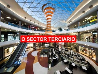 O SECTOR TERCIARIO
 
