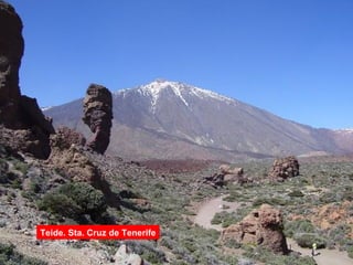 Teide. Sta. Cruz de Tenerife
 